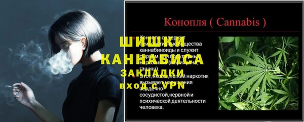 прущие грибы Вязники