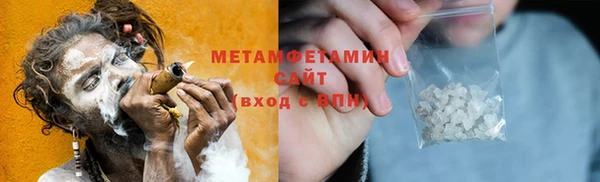 прущие грибы Вязники