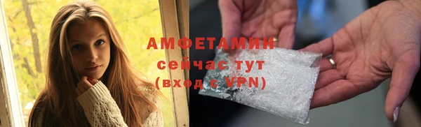 прущие грибы Вязники