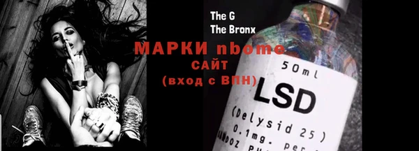 прущие грибы Вязники