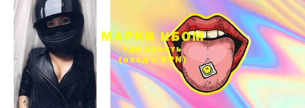 прущие грибы Вязники