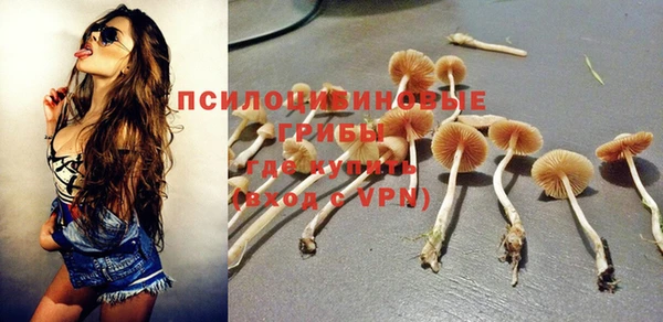 прущие грибы Вязники
