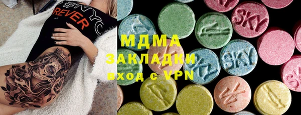 прущие грибы Вязники
