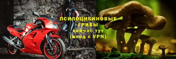 прущие грибы Вязники