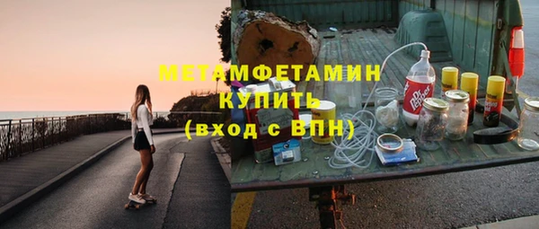 прущие грибы Вязники