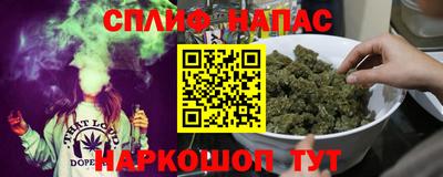 spice Бийск