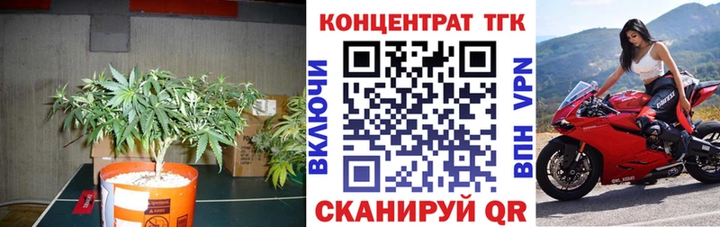 darknet наркотические препараты  Вязники  ТГК THC oil  купить  цена 