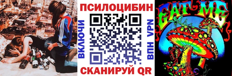 Галлюциногенные грибы Psilocybe  KRAKEN   Вязники 