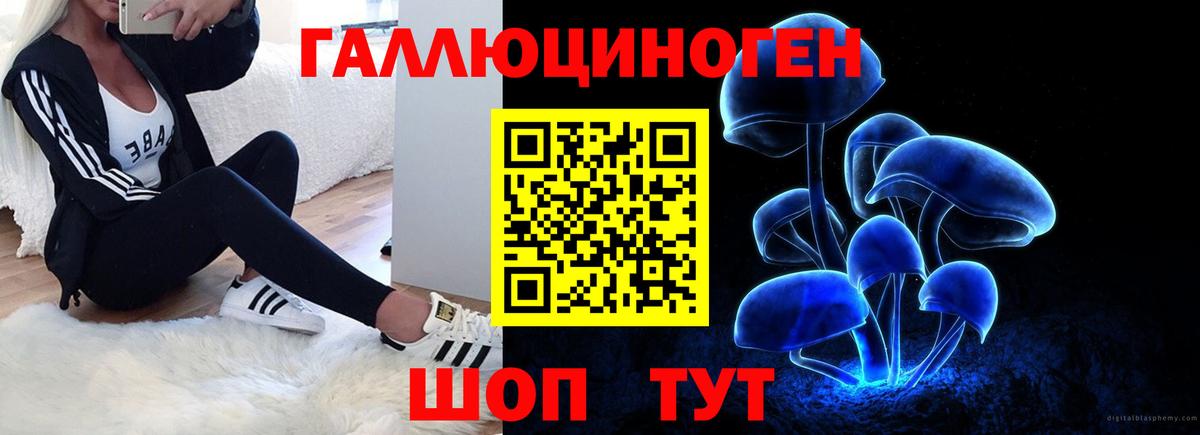 цены наркотик  Вязники  Псилоцибиновые грибы Cubensis 